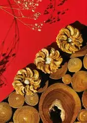 mimas_traiteur (12)