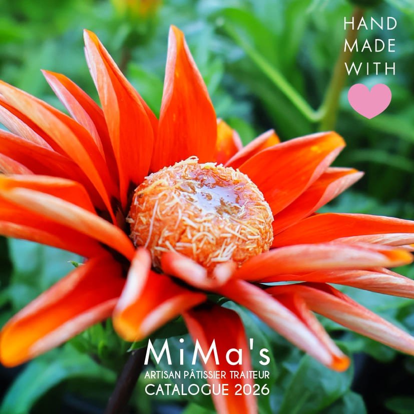 Catalogue Mimas 2026 VWhatsapp_page-0001